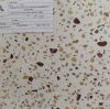 da-mai-terrazzo-at441 - ảnh nhỏ  1