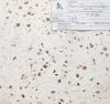 da-mai-terrazzo-at195 - ảnh nhỏ  1
