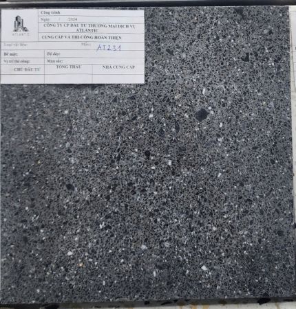 Đá mài Terrazzo AT231