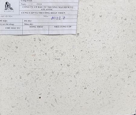 Đá mài Terrazzo AT227