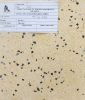 da-mai-terrazzo-at148 - ảnh nhỏ  1